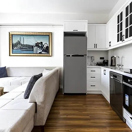 Hearth Of Downtown ,luxury 1 New Istanbul